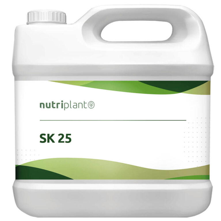SK 25