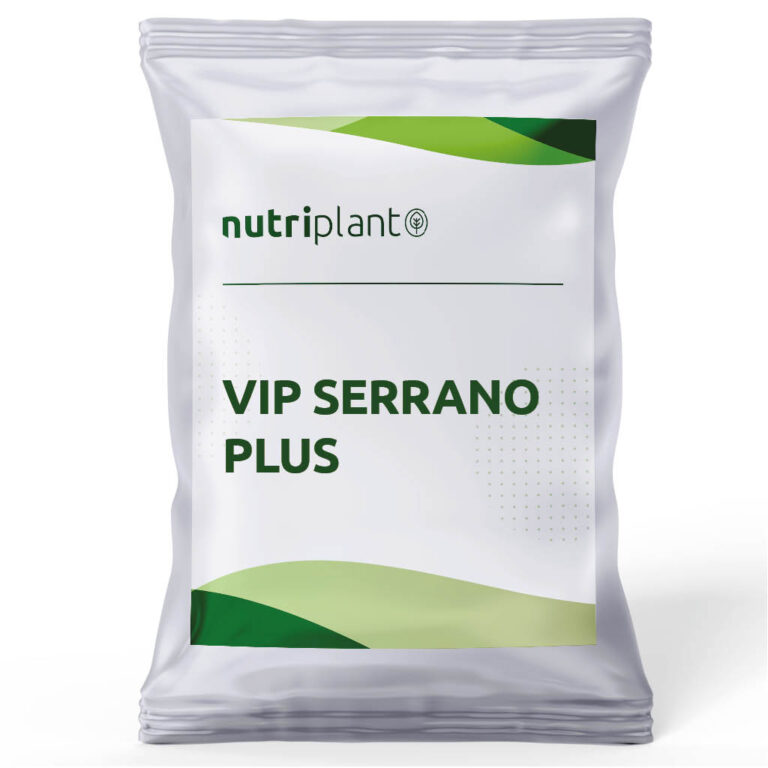 VIP Serrano Plus
