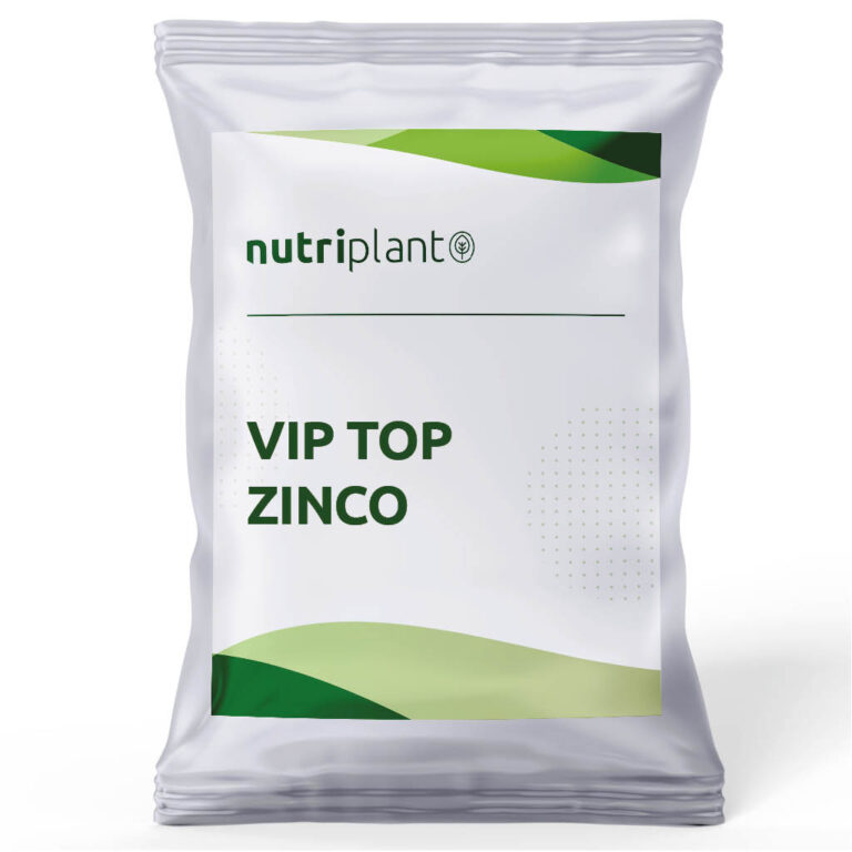 VIP Top Zinco
