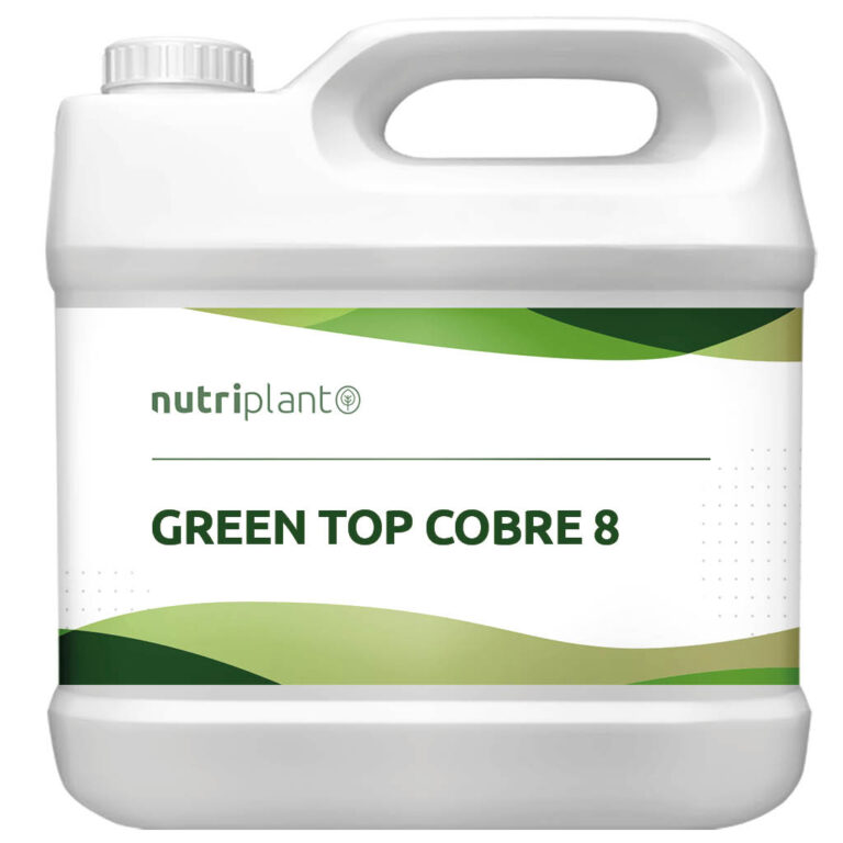 GREEN TOP COBRE 8