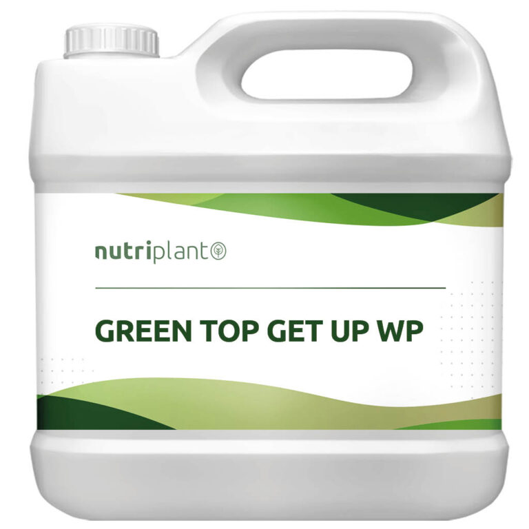 GREEN TOP GET UP WP