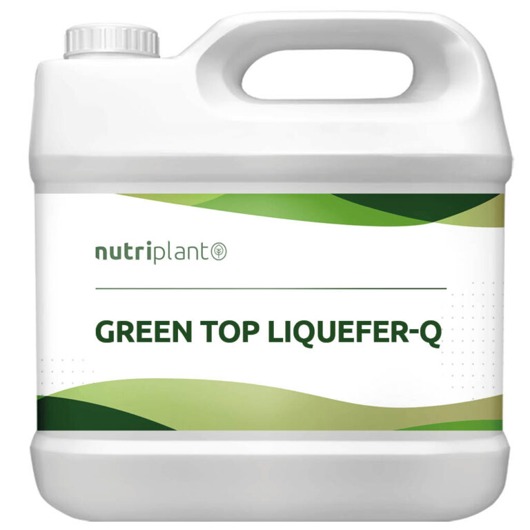 GREEN TOP LIQUEFER-Q