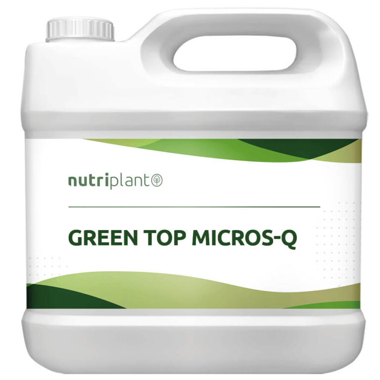 GREEN TOP MICROS-Q