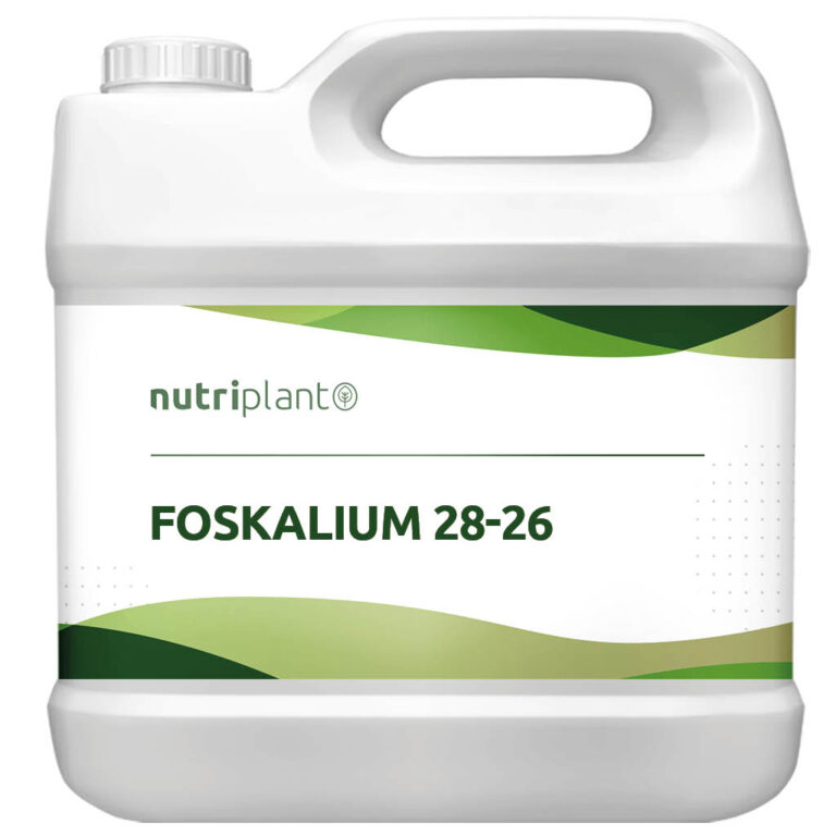 Foskalium 28-26