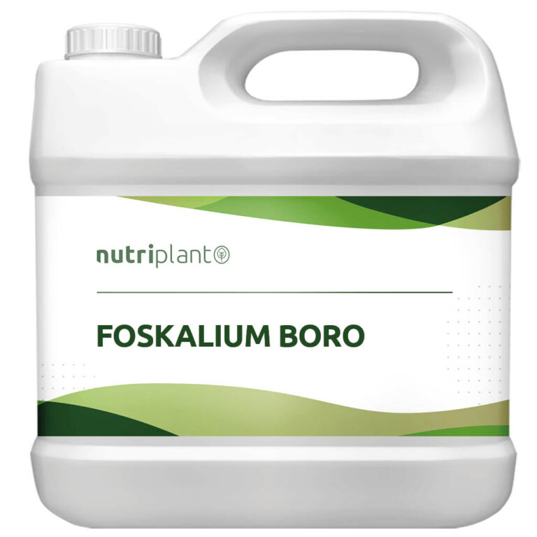 Foskalium Boro