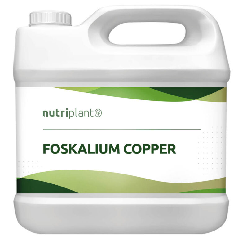 Foskalium Copper