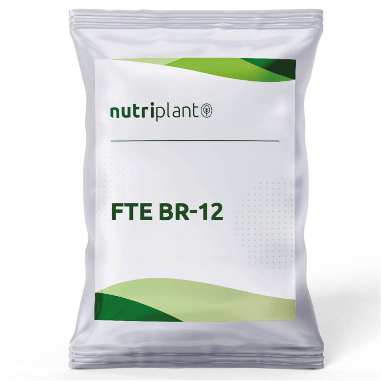 FTE BR-12