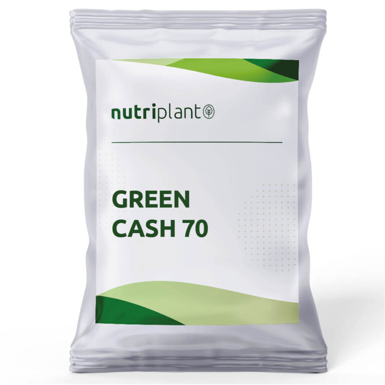 GREEN CASH 70