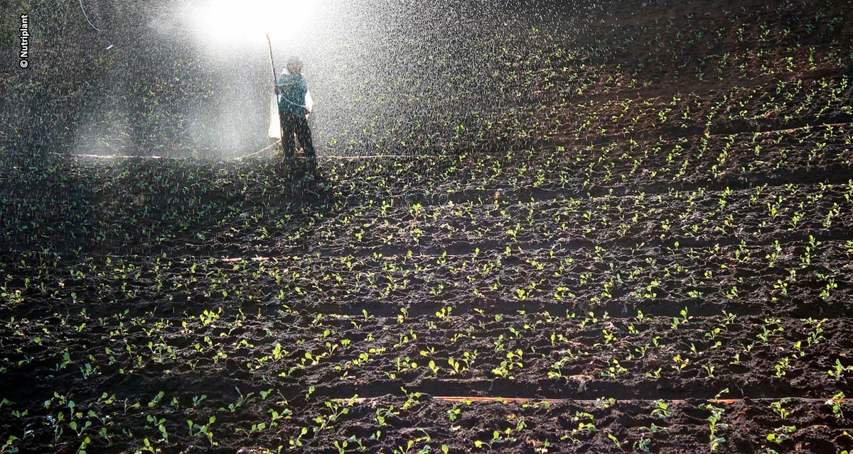 Agro Planning – Empresa de fertilizantes e insumos agropecuários tem crescimento recorde após estratégia de regionalização de vendas